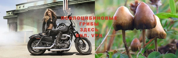 2c-b Беломорск