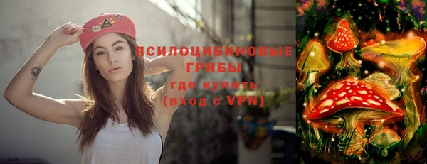винт Белокуриха