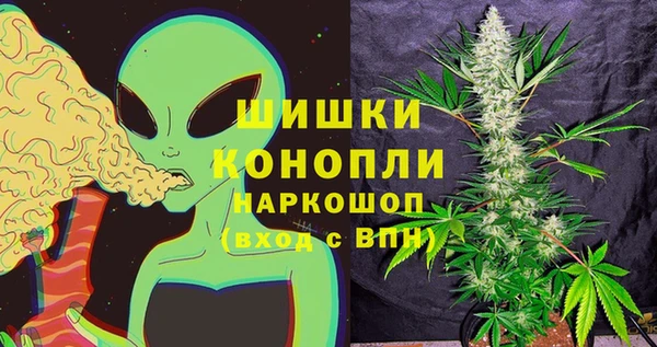 винт Белокуриха