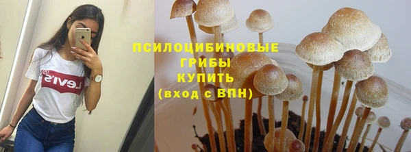 винт Белокуриха