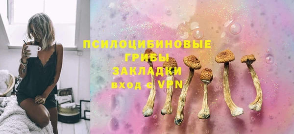винт Белокуриха