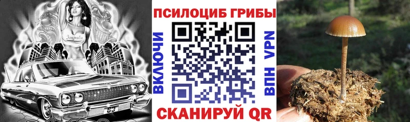 Галлюциногенные грибы GOLDEN TEACHER  мега вход  Волжск 